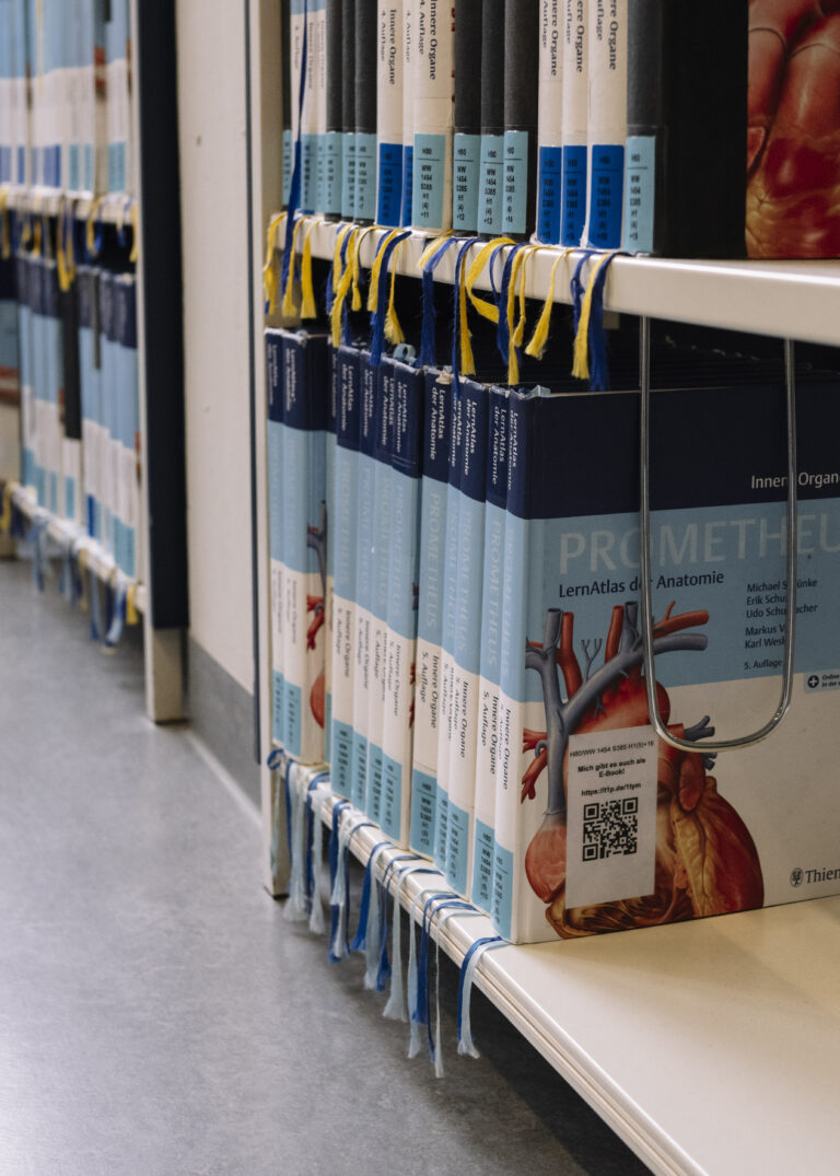 Beitragsbild für Publikationen